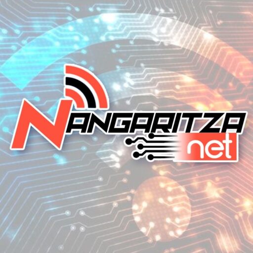 Nangaritzanet